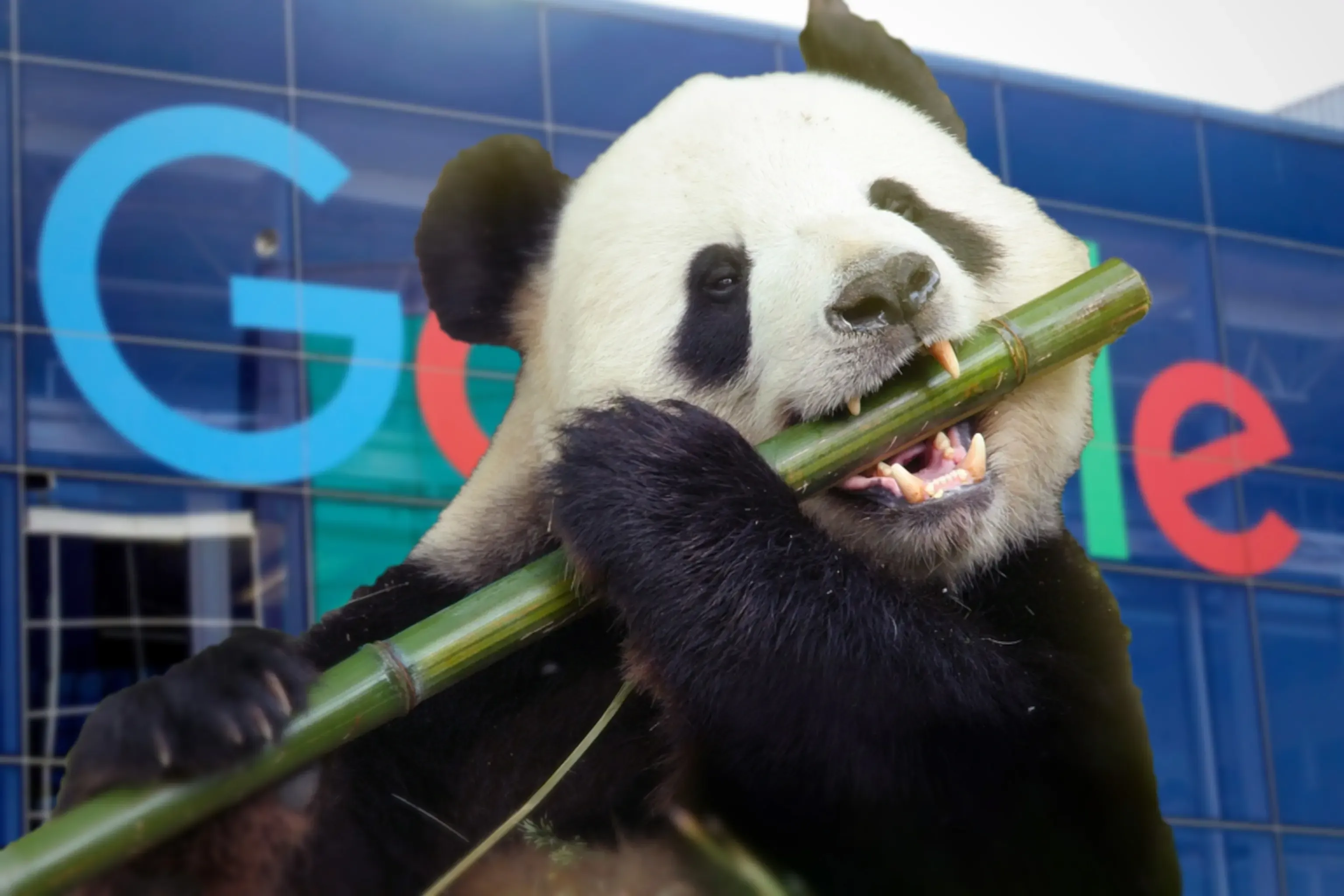 Google Panda algorithm illustration