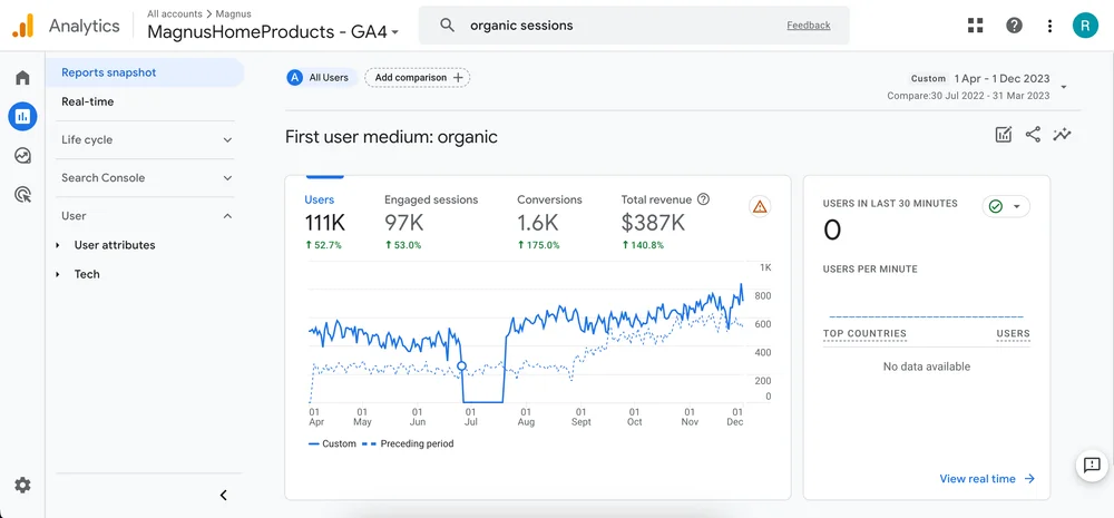 Google Analytics data for Magnus Home Products