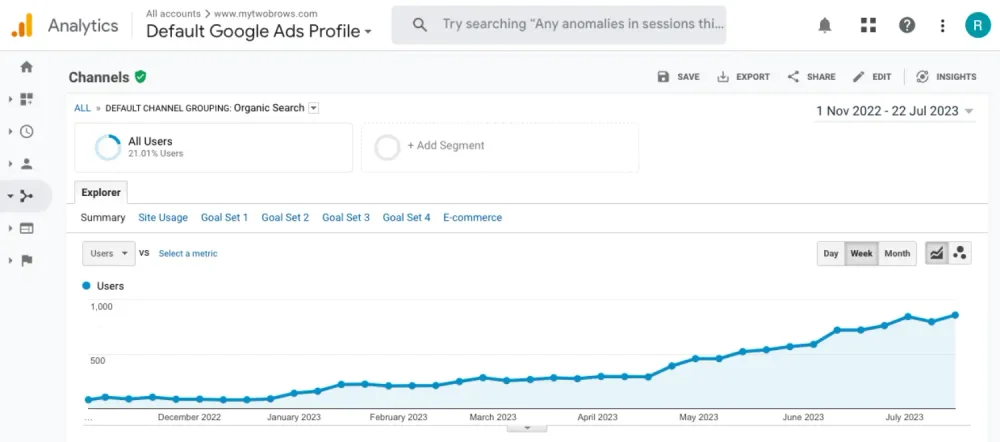 Google Analytics data for My Two Brows